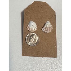 Lions Paw Seashell Pierced Earrings